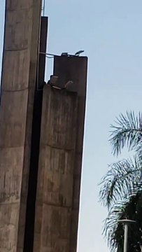 Adolescentes sobem em obelisco na Praça Santos Dumont, em Umuarama