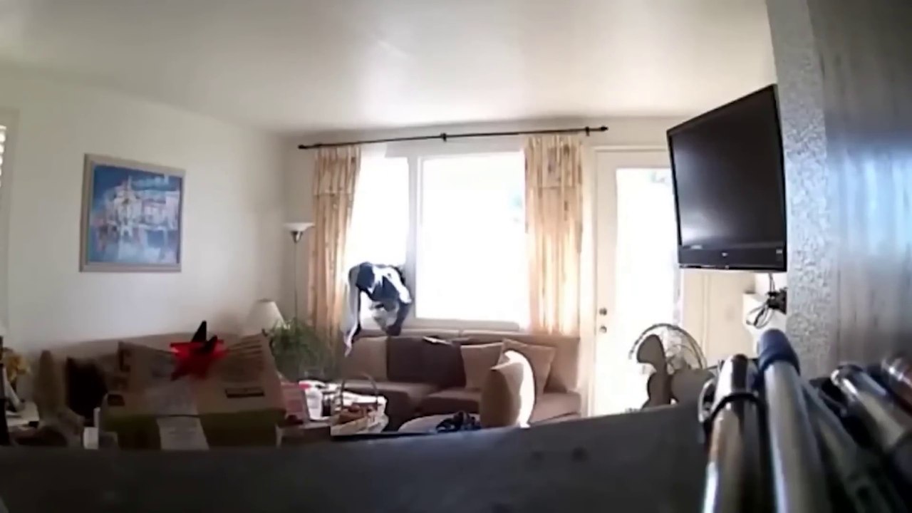 Serial Killers Recorded Their Murders On Camera