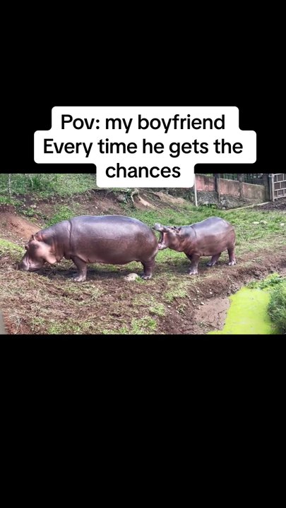 funny
