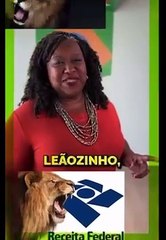 Ministra de Lula usa paródia de 'Resenha do Arrocha' para divulgar isenção do IR