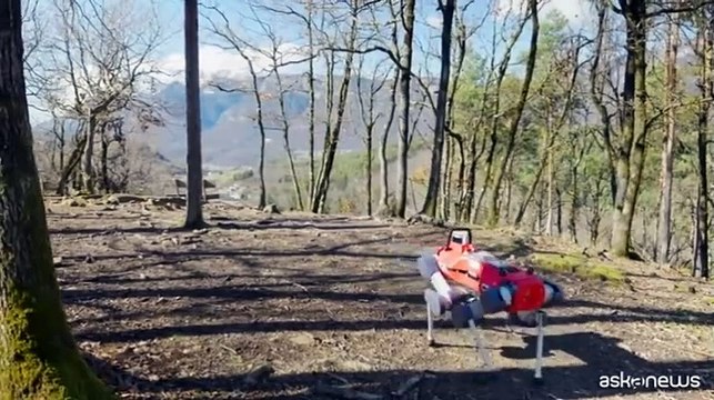 I robot zoomorfi guardiani delle foreste per tutelarne la salute