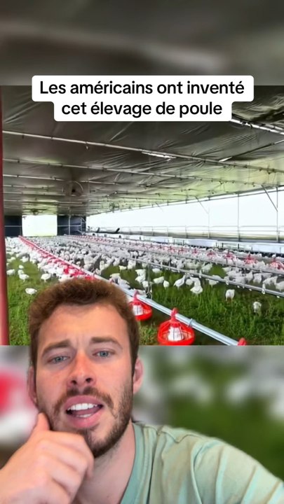 C’est fou