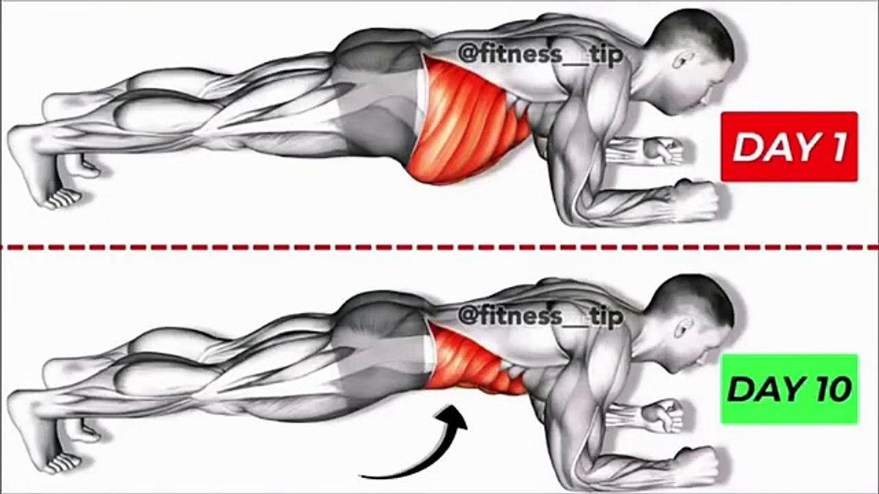 🔥 Perfect Exercises for a Flat Belly! 🏃‍♀️ Get Shredded Fast 💪 | Prime Fitness Hub