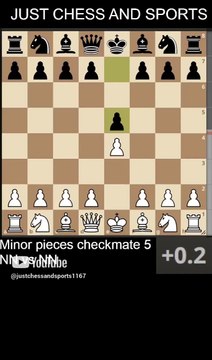 Minor pieces checkmate 5. Bishop and Knight checkmate