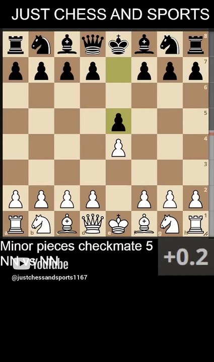 Minor pieces checkmate 5. Bishop and Knight checkmate
