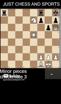 Minor pieces checkmate. Knight and Queen checkmate