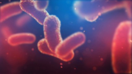 Deadly listeria outbreak hits Yorkshire and UK hospitals