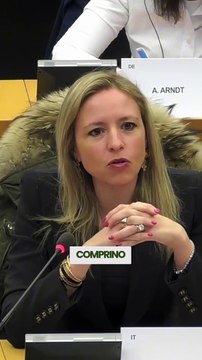 Sardone - Sull'auto l'Unione Europea sta facendo un autentico disastro. (20.03.25)