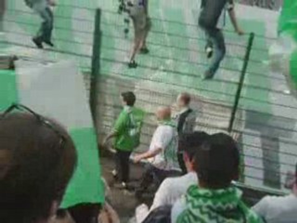 asse-lille début du match drapreau green angels 2