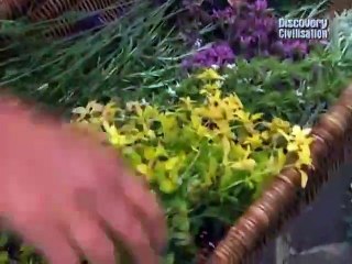 Time Team - Richmond, Surrey - Richmond Palace Built by Henry V