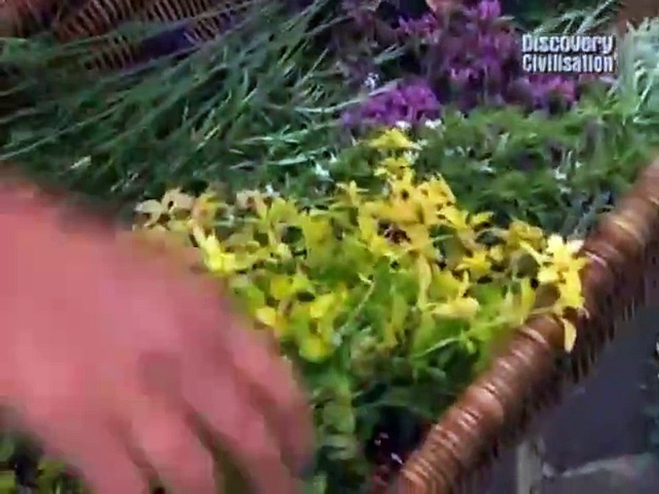 Time Team - Richmond, Surrey - Richmond Palace Built by Henry V