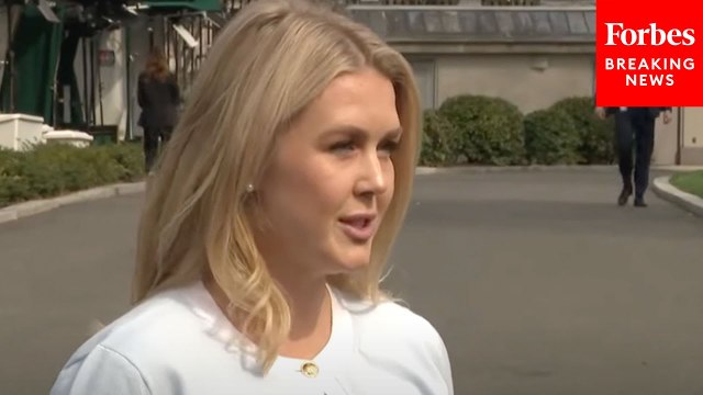 Leavitt Asked Point Blank Why Trump Admin. Won't Turn Over Info About Deportation Flights