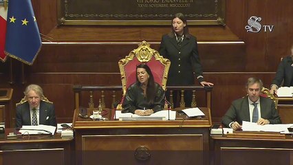 Renzi Ronzulli Senato