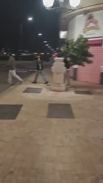 Indignación entre los vecinos de Málaga: graban a turistas robar un árbol y llevárselo a su apartamento