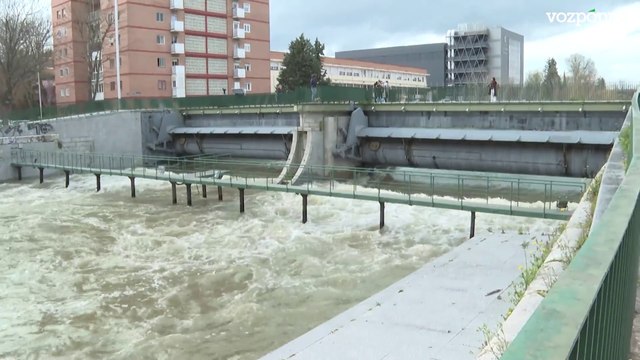 Situación de la senda fluvial del Manzanares ante un posible desbordamiento del río