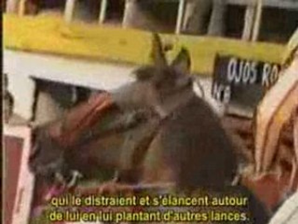 Corrida : la véritée