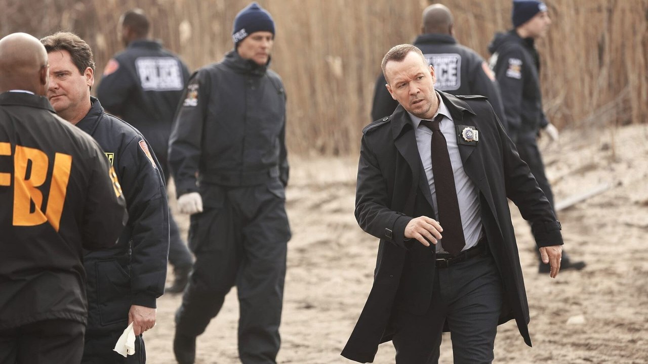 Blue Bloods