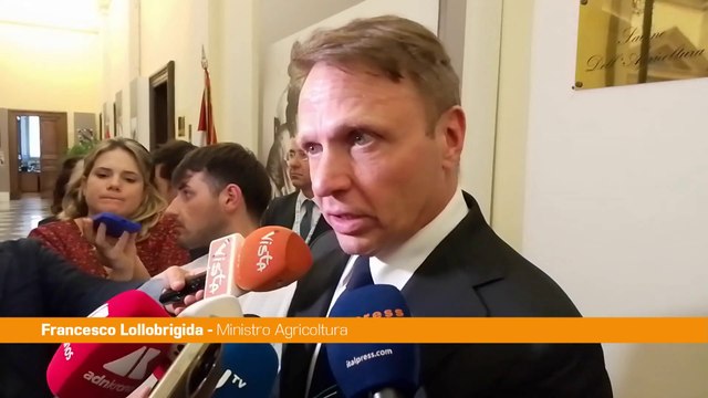 Sisma 2016, Lollobrigida Utilizzo legno in edilizia esempio virtuoso