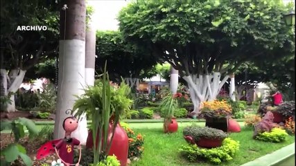 Normalidad parcial en la Costa Sur : clases virtuales en CUCSur y suspensión en tres municipios