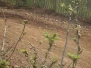 A Thouars, ce week-end!