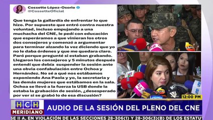Filtran audio del supuesto _Zipi y Zape_ entre el jefe de FFAA la presidenta del CNE