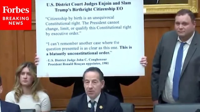 Jamie Raskin Quotes Republican And Democrat-Appointed Judges In Defense Of Birthright Citizenship