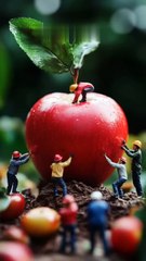 AI Fruit Construction