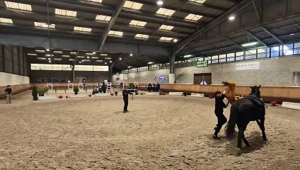 09/03/25 AMATEUR 2 VALENTINE NIORT (79)