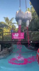 Éxito rotundo de la primera carrera de patos solidarios en Canarias