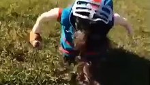 Football Dog Goes For A Touchdown!
