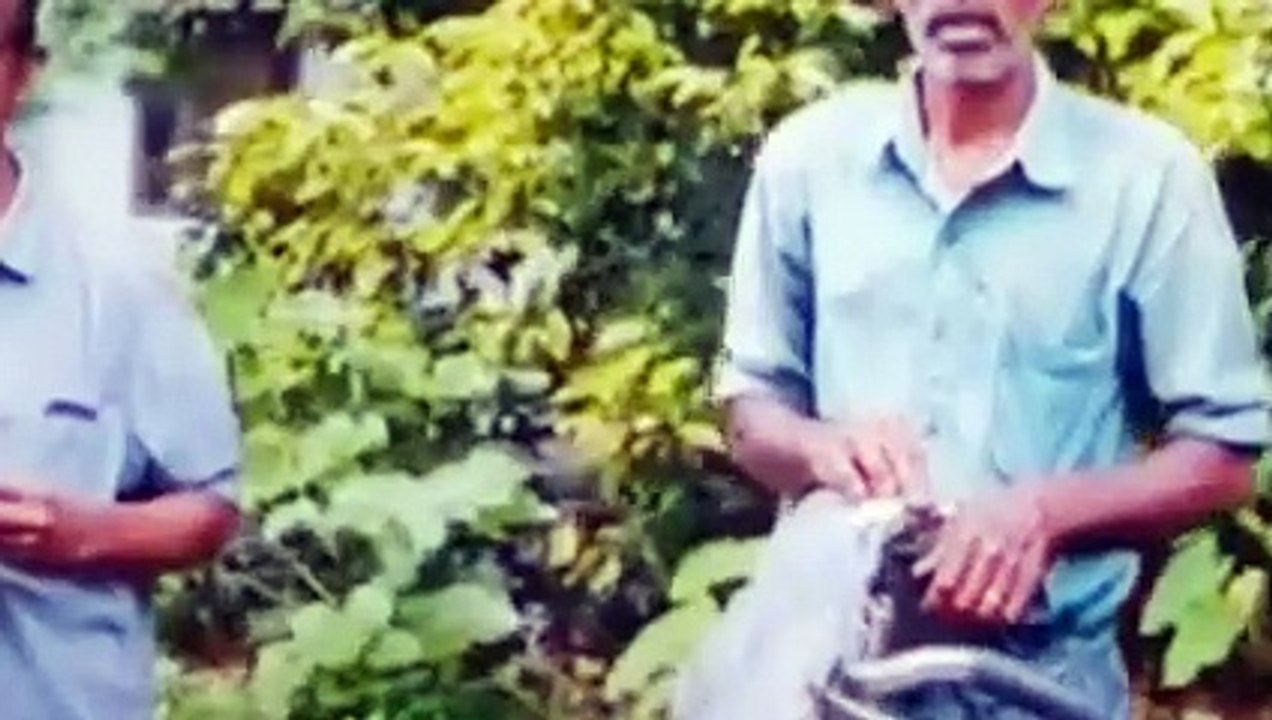 Movies| Newmovies | Malayalam movie| comedy |fu...