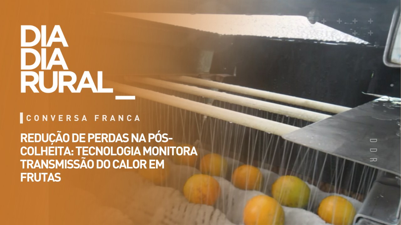 Redução de perdas na pós-colheita: tecnologia m...