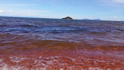 The beauty of Lake Malawi