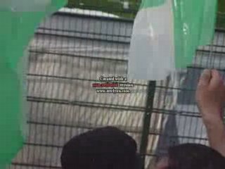 asse-lille début du match drapeau green angels 4
