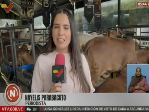 Caracas | Productores ganaderos impulsan el crecimiento económico del país