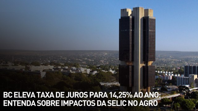BC eleva taxa de juros para 14,25% ao ano: entenda sobre impactos da Selic no agro