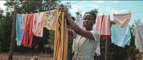 DON'T LET'S GO TO THE DOGS TONIGHT Movie