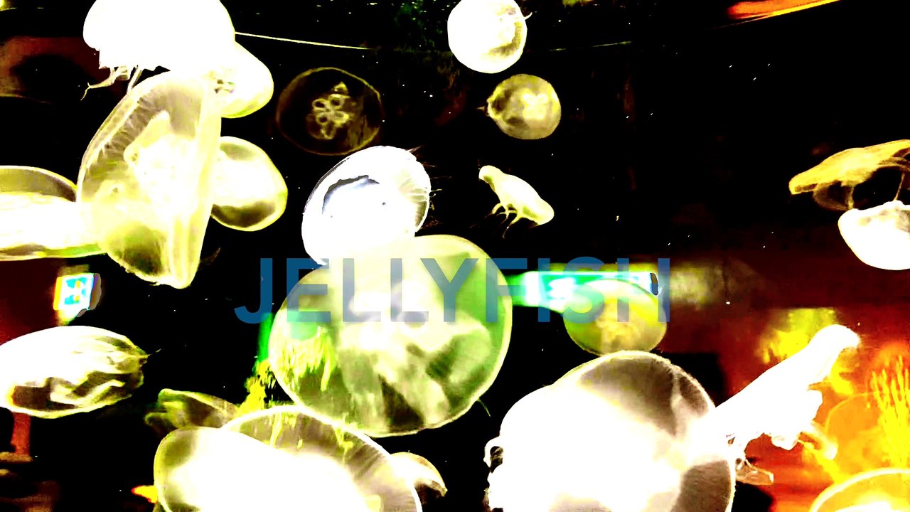 Jellyfish dance