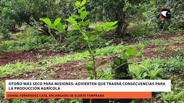 Otoño más seco para Misiones: advierten que traerá consecuencias para la producción agrícola