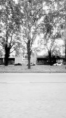 #BR3 #motivation #lesson #mindset #support (4)