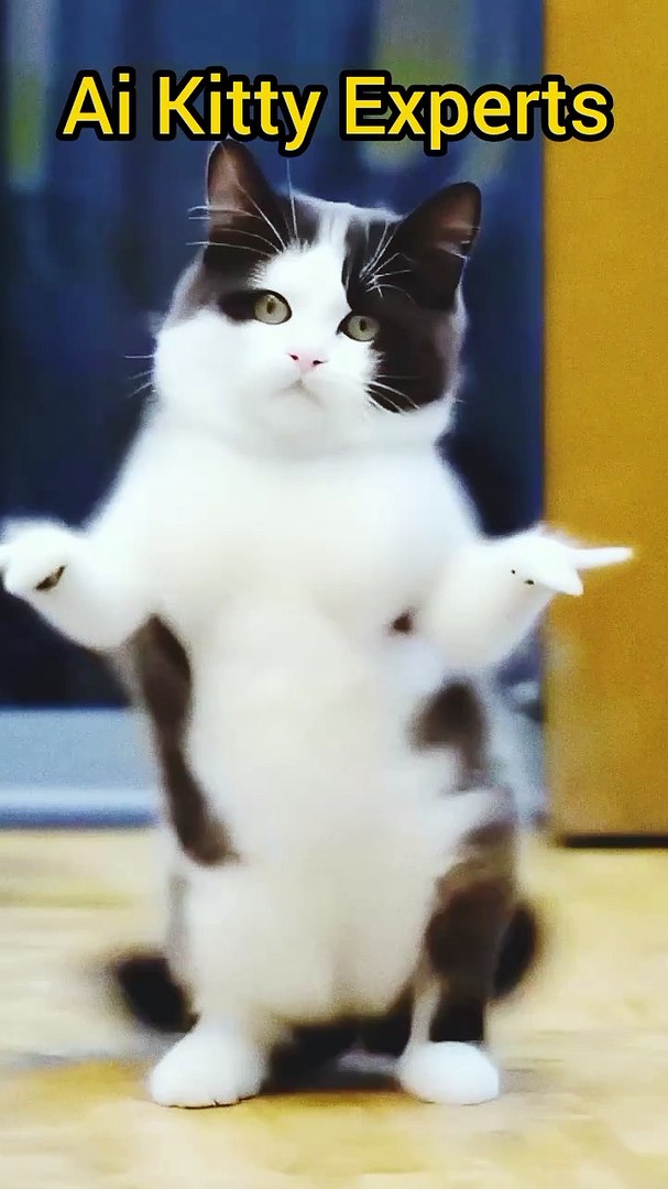 ⁣Kitten enjoyment