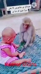 Mobiles have made animals cry