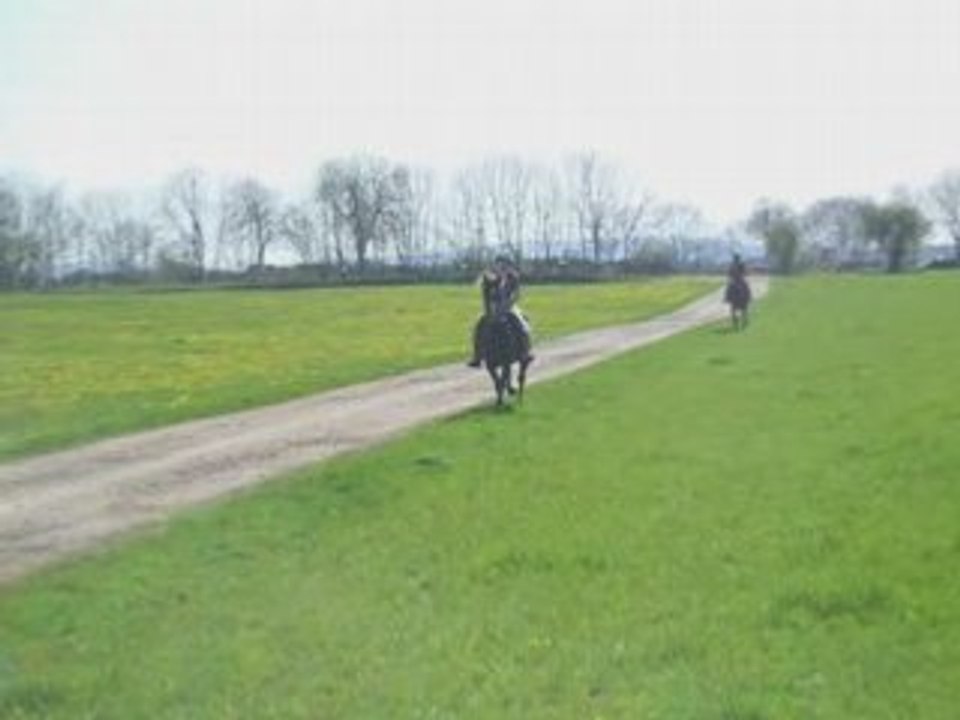 Vidéo samedi !!