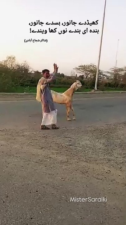 # Goat dance # How to grow Daily motion? | Stop These Mistake |