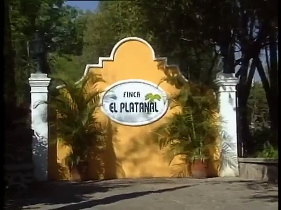 061 / TELENOVELAS INTERNACIONALES / ABRÁZAME MUY FUERTE / 2000 /