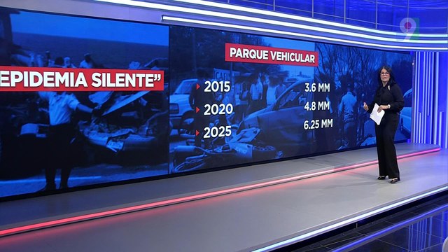 Preocupación por la alta tasa de mortalidad en accidentes viales | Emisión Estelar SIN con Alicia Ortega