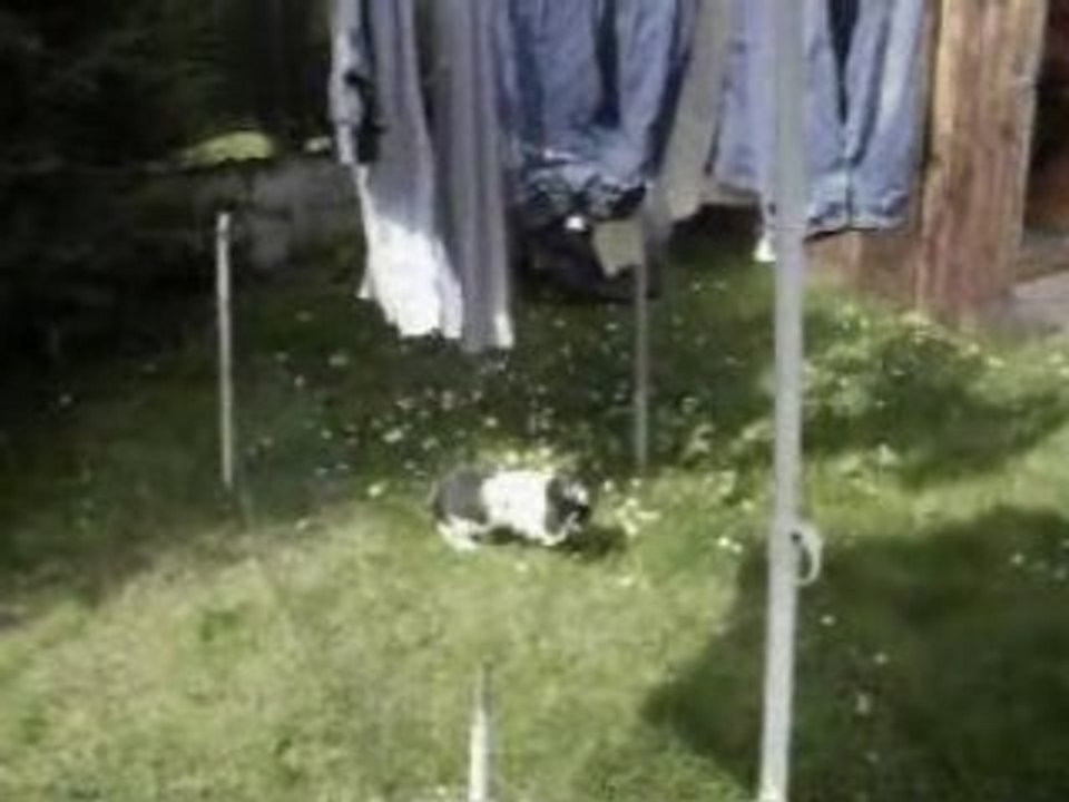 Titou