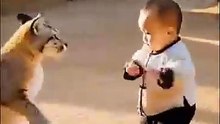 #cutebafunnydaily #makeyoulaughandforgetyourtroubles😁😁 #kungfu