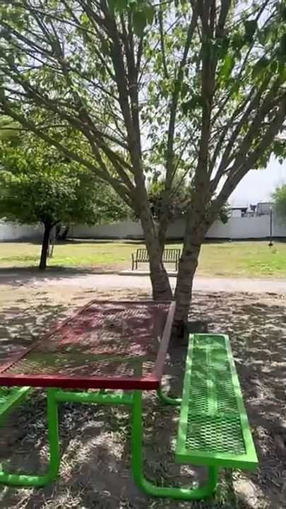 Estos son los 6 parques acuáticos que puedes disfrutar en Apodaca