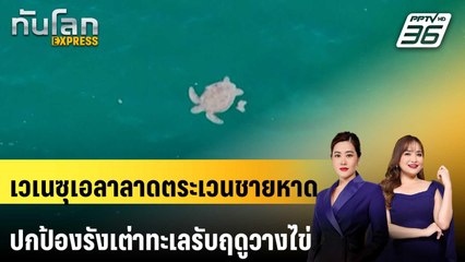 เวเนซุเอลาเร่งลาดตระเวนชายหาดปกป้องรังเต่าทะเลรับฤดูวางไข่ | ทันโลก EXPRESS | 21 มี.ค. 68